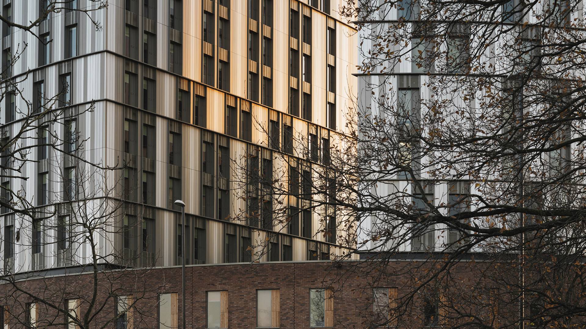 Street view with sun reflecting off the windows