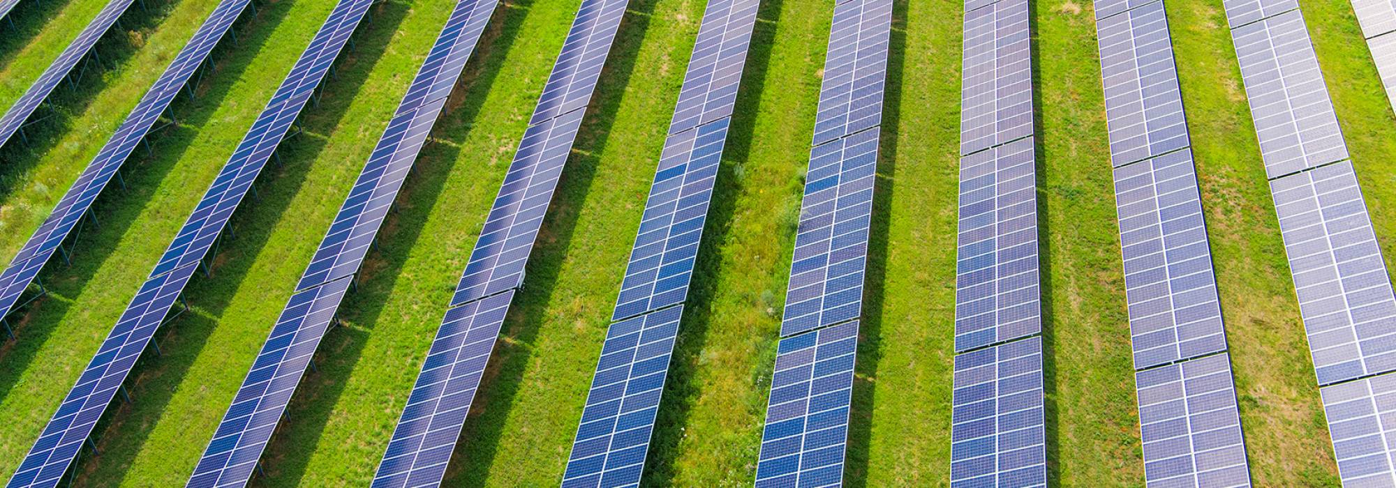 Rows of solar panels on a vast field